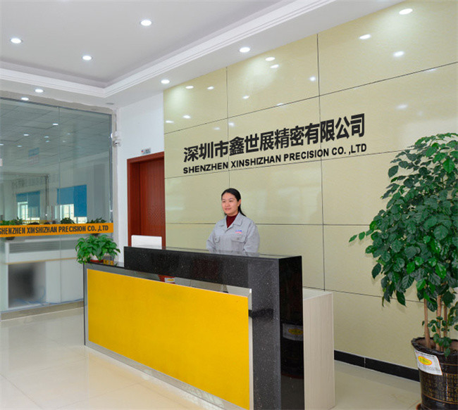 中国 Xinshizhan Precision Co., Ltd. 会社概要